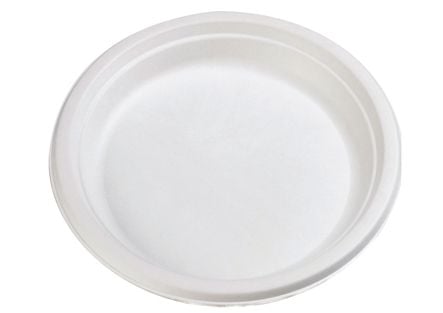 Assiette jetable biodégradable
