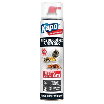 Insecticide Kapo guêpes & frelons