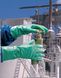 Gant nitrile